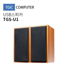 TGIC TGS-U1USB 2채널스피커, TGS-U1