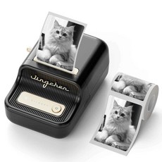 Niimbot B21포토(Pro) 듀얼컬러 라벨프린터, 1개, B21포토 블랙 +레드블랙 듀얼컬러 38x70