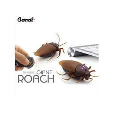 반디 무선조종 스네이크 RC 뱀 전갈 거미 풍뎅이 코브라, 08_로취(바퀴벌레), 1개