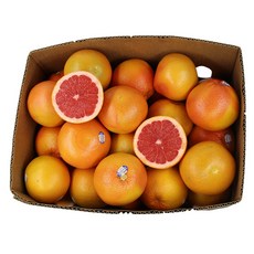 레드자몽 중과 달콤 쌉싸름한 미국자몽 다이어트 웰빙, 1개, 중대과 290g내외 / 10개