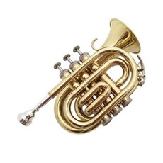 康美國巴哈小號樂器手掌號便攜式降B調小號電泳金 小號/小喇叭, 1個, 金色
