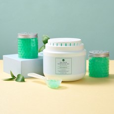 BAS 바스 특대형 실내 탈취제 빅 (3가지향)_소분용기 포함, 1000g, 1개, 페퍼민트