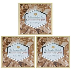더 청담 살롱코드 케라틴 헤어컬러 염모제, 모카브라운, 3개