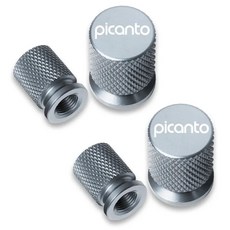 자동차 휠 타이어 밸브 캡 스템 커버 방수 피칸토용, 9. Picanto-12, 1개