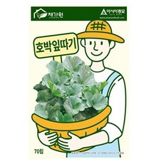 아시아종묘 씨앗 애호박 호박잎따기 70립, 1개