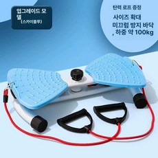 운동기구 복부 운동 허리 홈짐 하체 옆구리 가정용 홈트, 1개, 삼각형 블루 당김줄