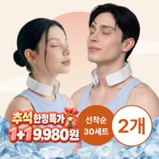 아이스 넥쿨러 쿨스카프 넥워머 쿨링 넥밴드 1+1 마지막