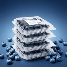 슈퍼푸드 생 블루베리 14-16mm내외 칠레/미국/캐나다, 4개, 125g