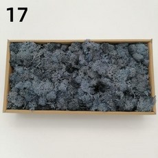 DIY 인공 녹색 식물 영원한 집 거실 정원 미니어처 가짜 잔디 200g, 17)10g, 17