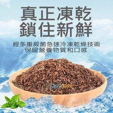 《林作物》現貨/含發票GoGoMark【純紅蟲凍乾】100%天然 無添加 免冷藏 乾燥紅蟲 燈魚、鬥魚、爬蟲、烏龜飼料, 1個, 原裝小罐裝：30g