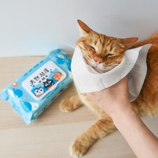 Parkcat 貓樂園 寵物清潔濕紙巾 除臭噴霧 活性碳套組 溫和配方 貓狗適用, 1個, 犬貓寵物濕紙巾 50抽