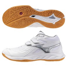 MIZUNO WAVE FANG ST 羽球鞋 71GA256301