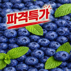 [팡팡농장]프리미엄 국산 생블루베리 새벽경매 당도보장, 1박스, 200g(100g2팩)