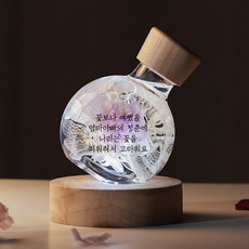 리비트 어버이날 선물 카네이션 무드등-6종 모음, 카네이션연보라(M)-(꽃보다 예뻤을~피워줘서 고마워요)