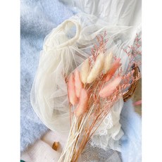 兔尾草乾燥花束 拍照道具 手作素材 裝飾插花, 杏色調