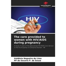 (영문도서)The care provided to women with HIV/AIDS during pregnancy Paperback, Our Knowledge Publishing, English, 9786208787127