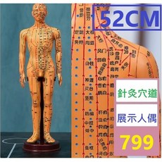 【三峽貓爸的店】針灸穴位人體模型圖小銅人大真人可扎針十二人形練習全身經絡模特 人體針灸穴道展示人偶 中醫展示人偶模