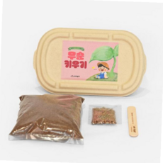 무순 (아이농부) 새싹키트, 본상품