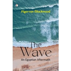 (英文圖書)The Wave: An Egyptian Aftermath 平裝版, Pharos Books Private Limited, 英文