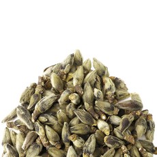 동의한재 최상품 100% 국산 햇 신이화 목련꽃봉우리, 100g, 1개