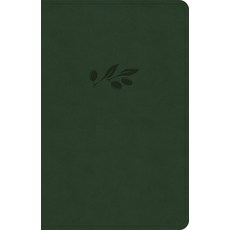 (영문도서) NASB Personal Size Bible Olive Leathertouch Imitation Leather, Holman Bibles, English, 9781430094814