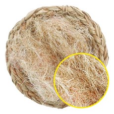 핀치새 번식 항아리 접시 둥지 베딩 둥지풀 문조 카나리아, 1개