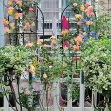 화분 정원 철제 식물지지대 거실 화분선반 걸이 철재 받침대, 1_C. 그린 100ml