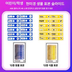 프레파라트 48종 표본 실험도구 식물 현미경 체험, 24장, 기본 색상