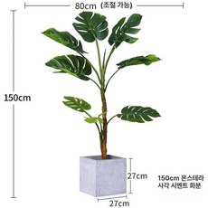 조화 조경 몬스테라 상품 장식 키 거실 소품 매장 카페, 거북이 등나무+화분 높이 150cm
