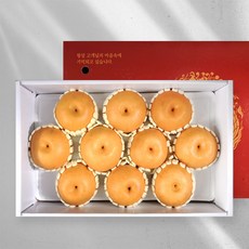 맛과 품질을 보장한 산지직송선물세트 나주봉황배, 1개, 5kg(9-10과)