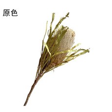 大佛塔 班克木 乾燥花 主花 居家擺飾 花藝素材 原色 黃色, 原色/大佛塔