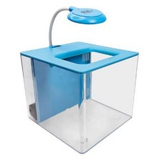 P老闆水族 小螃蟹 第二代 懶人背濾缸 馬卡龍色系 迷你生態鬥魚缸, 1個, 綠色魚缸＋綠色圓球夾燈+馬達