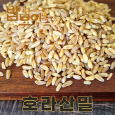 전남 무안 25년산 국산 호라산밀 2kg 카무트 카무트쌀, 1개