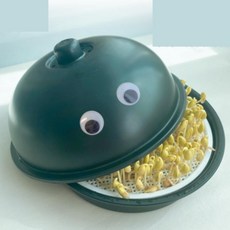 초등 학교 학생 집에서 콩나물키우기 키트 콩나물기르기 국산콩 박스 세트, 왕눈이재배기+콩 - 깔끔한무지박스