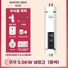 순간 전기 온수기 세면대 샤워 미니온수기 급속가열, L. 5500W 화이트 누수방지