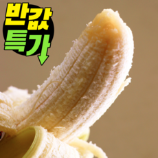 [한정특가] 필리핀 고당도 낱발 바나나, 1개, 초특가 5kg