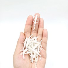 DUODUOYU 10PCS TPE 미니 소프트 PESCA 지그 인공 WOBBLERS 태클 실리콘 미끼베이스 미끼 낚시 35G 40MM 잉어, XZ026 10PCS WHITE