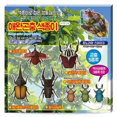 칼라팬시 애완곤충 색종이 곤충5종류