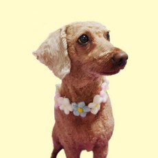 고양이방울 꽃 고양이스카프 강아지목줄 반려동물 M 애견스카프 목걸이 토끼옷 34918pc 1(pc), 색상, 1개