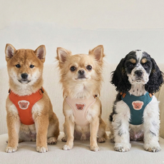 시즌홈 강아지 하네스 리드줄 세트 탈출방지 산책 가슴줄, 1개, 그린