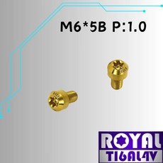 ROYAL 鈦合金螺絲 M6*5B P:1.0 錐形螺絲 土豪金, 1個