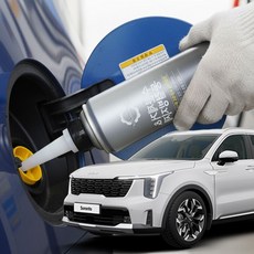 쏘렌토 수분제거제 디젤 동결방지제 경유 차량 결빙 방지 관리 eco+09454mu