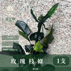 藏花閣 CAN LONGER 仿真玫瑰枝條 居家花藝擺設 攝影道具, 1個