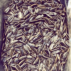 振新商行 1斤/600g, 1個, 焦糖葵瓜子