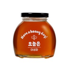 [오늘은 꿀] 야생화 100% 국산 숙성꿀, 3개, 350g