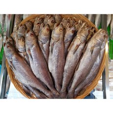 제수용생선 국산민어 37-38cm 생선맛집 싱싱수산, 1개