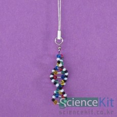 (SC) 크리스탈비즈 DNA모형(1인용) ksw+7514tq