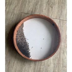 雅典樂器世界 極品 超大型 16吋 海浪鼓 手鼓 療癒系 自然音效, 1個