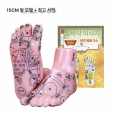 한의원 발 15cm 리플렉솔로지 모형 혈자리 실습 경혈위치 20cm 제품 마네킹 훈련, 4.15CM 발 모형+마사지 참고서