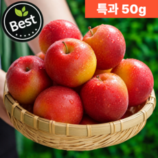 [당도보장] 산지직송 꿀맛나는 새콤쫀득 자두, 1개, 2kg (특)